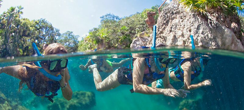 Snorkeling in xel ha