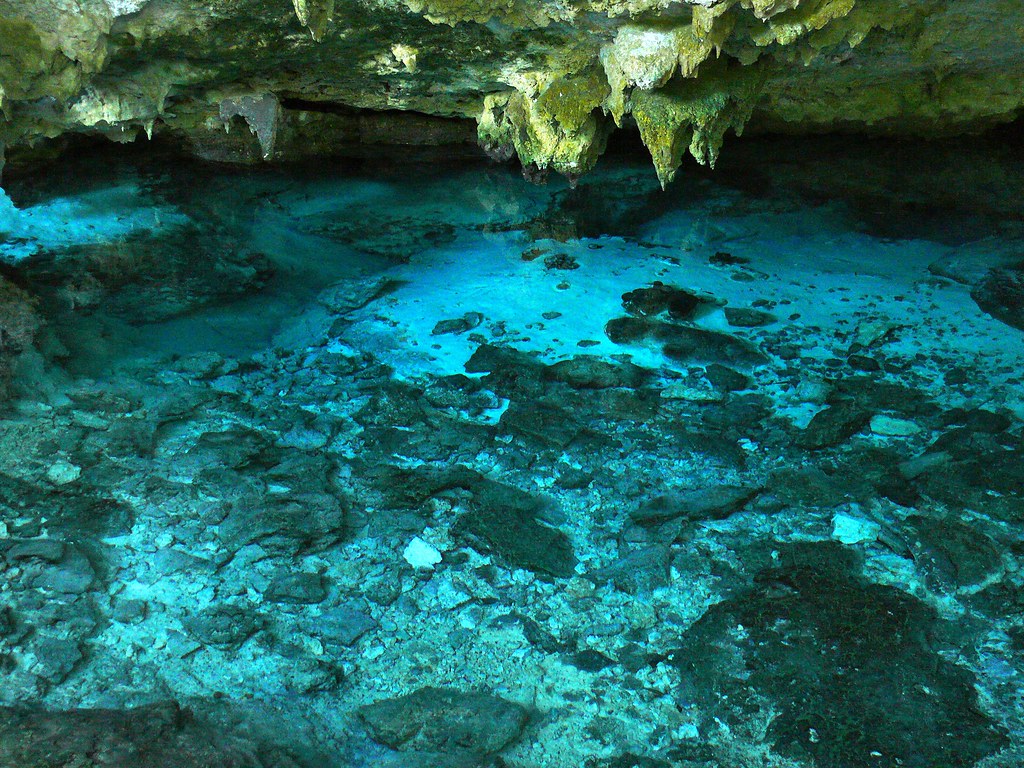 The great cenote of Tulum 