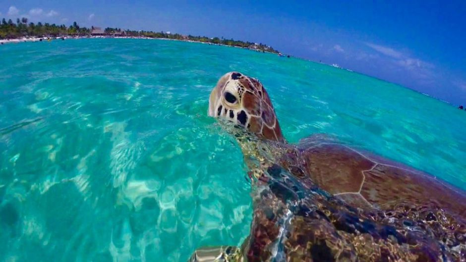 La bahía de Akumal