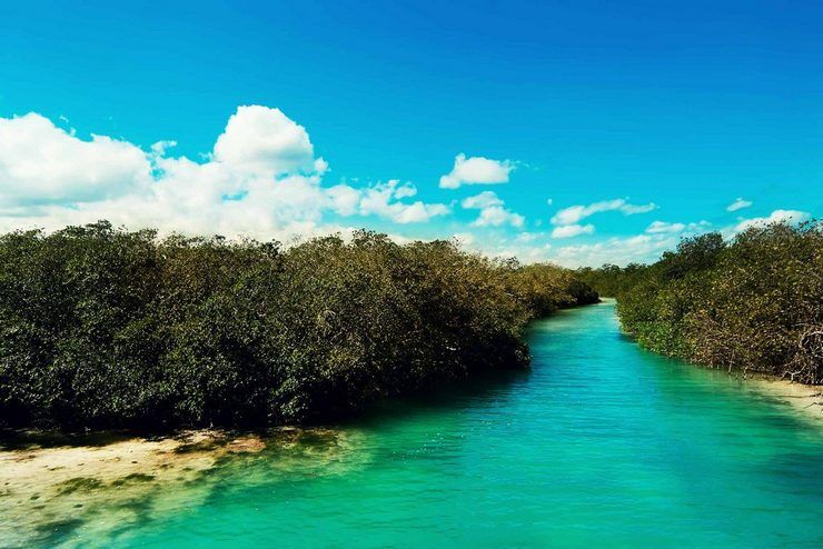 Sian Kaán - visitar la riviera maya