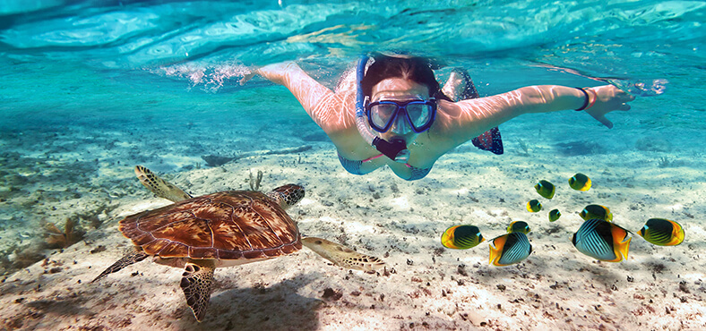 que hacer en isla mujeres