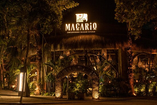 Macario Contemporary Mexican Kitchen