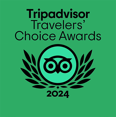 transfers-plus-tripadvisor