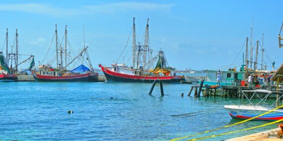 puerto juarez como llegar